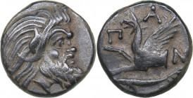 Bosporus Kingdom, Pantikapaion Æ tetrachalcon (Circa 345-310 BC)
6.25 g. 21mm. VF/VF Bearded head of Pan to right / Forepart of griffin to left, Π-Α-Ν...