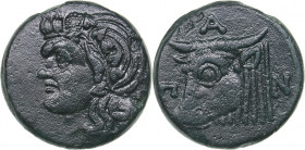 Bosporus Kingdom, Pantikapaion Æ obol (Circa 303-283 BC)
13.46 g. 26mm. F/F Head of Pan to left / Bull's head to the left, around PAN.