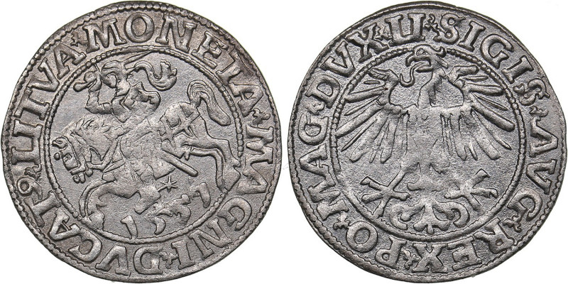 Lithuania 1/2 grosz 1557 - Sigismund II Augustus (1545-1572)
1.00 g. XF/XF Mint ...