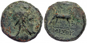 Pontos. Amisos. ( Bronze. 13.58 g. 25 mm) Time of Mithradates VI Eupator circa 120-63 BC.
Head of Perseus right, wearing Phrygian cap
Rev: AMIΣOY, Peg...