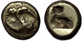 Ionia, Phokaia EL Hekte. ( Electrum. 1.95 g. 11 mm) Circa 521-478 BC. T
Two seals, belly-to-belly, swimming in opposite directions.
Rev: Quadripartite...