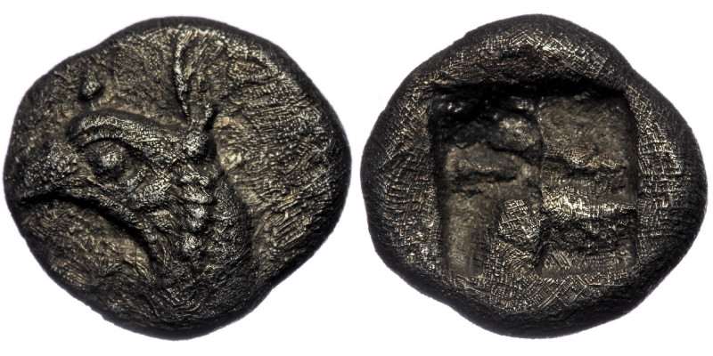 IONIA. Phokaia. ( Silver. 1.44 g. 12 mm) Diobol (Circa 525-500 BC).
Head of gri...