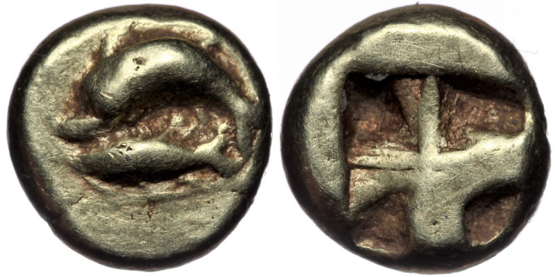 MYSIA. Kyzikos.( Electrum. 1.32 g. 9 mm) Circa 550-500 BC. Hemihekte – 1/12 Stat...