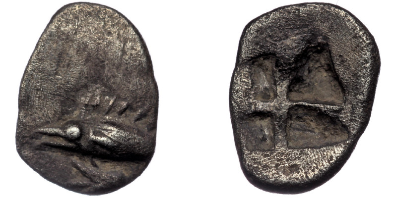 MYSIA. Kyzikos.( 0.51 g. 8 mm) Circa 550-500 BC. Hemiobol 
Tunny to left; below,...