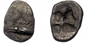 MYSIA. Kyzikos.( 0.51 g. 8 mm) Circa 550-500 BC. Hemiobol 
Tunny to left; below, lotus flower to left. 
Rev. Quadripartite incuse square. 
CNG 94 (201...