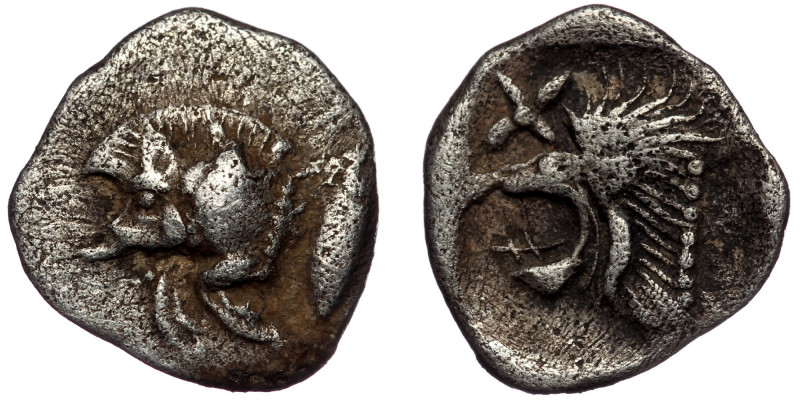 MYSIA, Kyzikos. ( Silver.0.40 g.10 mm) Circa 450-400 BC. AR Hemiobol 
Forepart o...