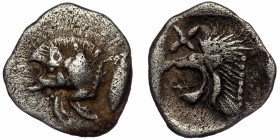 MYSIA, Kyzikos. ( Silver.0.40 g.10 mm) Circa 450-400 BC. AR Hemiobol 
Forepart of boar left; to right, tunny upward.
Rev: Head of roaring lion left; s...