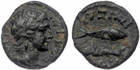 MYSIA. Cyzicus.( Bronze.2.25 g. 17 mm) Pseudo-autonomous (3rd century). Ae.
 KVZIKOC./ Diademed head of Kyzikos right.
Rev: KVZIKH / NΩN./ Two tunny f...