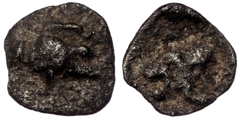 MYSIA. ( Silver. 0.18 g 8 mm) Kyzikos. Circa 450-400 BC. Obol
Forepart of boar t...