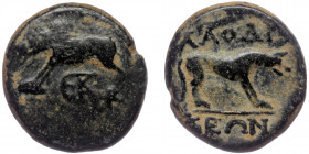 PHRYGIA. Laodikeia. ( Bronze. 3.25 g. 15 mm) Ae (1st century BC).
Boar (river god Kapros) standing left; monogram below.
Rev: ΛΑΟΔΙΚΕΩΝ./ Hound (river...