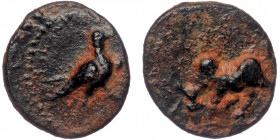 PISIDIA. Komama (Bronze. 2.07 g. 15 mm) (1st century BC). Ae.
Bull butting left
Rev: Eagle standing to right.
von Aulock, Pisidien II, 765