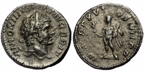 (Silver, 2,94g, 19mm) CARACALLA (198-217) AR Denarius, Rome, 214 . 
Obv: ANTONINVS PIVS AVG GERM - Head laureate right 
Rev: P M TR P XVII COS IIII P ...