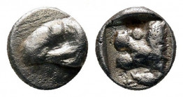 Tetartemorion AR
Caria, 5th century BC
5 mm, 0,25 g