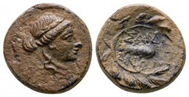 Bronze Æ
Lydia, Sardeis, c. 133-14 BC
14 mm, 3,15 g