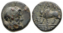 Bronze Æ
Lydia, Tralleis, c. 220-200 BC
14 mm, 3,19 g