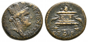 Bronze AE
Seleucis and Pieria, Antioch, Pseudo-autonomous issue, dated Caesarean Year 114=AD 65-66
17 mm, 5,10 g