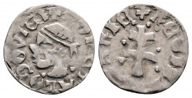 Denier AR
Hungary, Louis I "the Great", of Anjou (1342-1348)
14 mm, 0,62 g