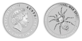 1 Dollar AR
1 Oz Silver, Australia, Australian Funnel Spider, 2015
31,10 g
