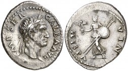 (68 d.C.). Galba. Roma. Denario. (Spink 2103) (S. 82) (RIC. 155). 3,34 g. Rara. MBC+.