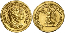 (204 d.C.). Septimio Severo y Caracalla. Roma. Áureo. (Spink 6516) (Co. 8) (RIC. 311 de Septimio Severo) (Calicó 2597). 7,22 g. Muy bella. Ex Tritón V...