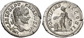 (210 d.C.) Geta. Roma. Denario. (Spink. 7249) (S. 140) (RIC. 70b). 3,35 g. Muy bella. EBC+.
