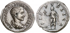 (218 d.C.). Diadumeniano Roma. Denario. (Spink. 7450) (S. 21a) (RIC. 116). 2,90 g. Atractiva. Rara. EBC-.