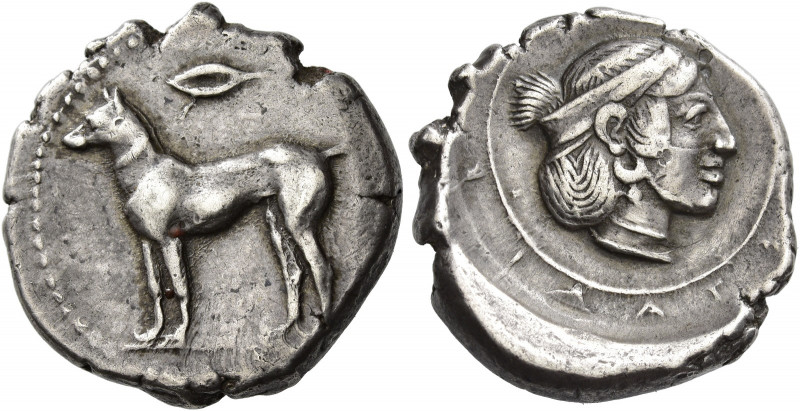 Segesta 
Didrachm circa 455-440, AR 8.56 g. Hunting dog (Cirneco of the Etna) s...