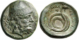 Homolion 
Tetrachalkon circa 350, Æ 9.24 g. Bearded head of Philoktetes r., wearing conical pilos. Rev. ΟΜΟΛ – ΙΕΩΝ Serpent coiled r.; behind head, s...