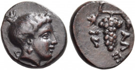 Meliboia 
Chalkous circa 352-344, Æ 1.92 g. Head of the nymph Meliboeia r., wearing earring; in l. field, Λ. Rev. ΜΕ – ΛΙ Bunch of grapes. Rogers 392...