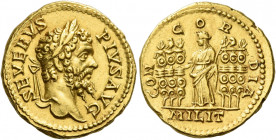 Septimius Severus, 193 – 211 
Aureus 202-210, AV 7.32 g. SEVERVS – PIVS AVG Laureate head r. Rev. CON – COR – DIA Concordia standing l., holding scep...