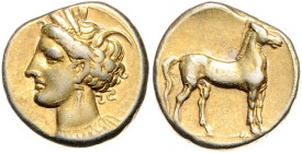 Griechen - Zeugitania - Karthago EL-Shekel-Didrachme (310-270 v. Chr.) Kopf der Tanit nach links, im Haar Kornähren / Pferd nach rechts stehend auf Li...