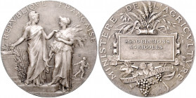 Frankreich III. République 1871-1940 Silbermedaille o.J. (v. Dubois) Prämie des Landwirtschaftsministeriums, i.Rd: Füllhorn 1 ARGENT 
41,0mm 36,8g vz...