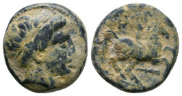 KINGS of MACEDON. Philip II. 359-336 BC. Æ 

Weight: 6.5 gr
Diameter: 18 mm