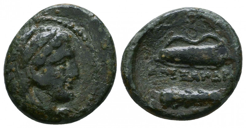 KINGS OF MACEDON. Alexander III ‘the Great’, 336-323 BC. AE 

Weight: 5.0 gr
Dia...