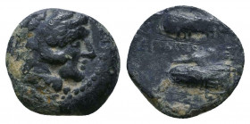 KINGS OF MACEDON. Alexander III ‘the Great’, 336-323 BC. AE 

Weight: 1.3 gr
Diameter: 11 mm