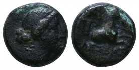 Greek Coins. 306-283 BC. Æ 

Weight: 3.7 gr
Diameter: 13 mm