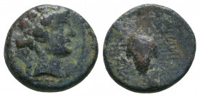 Greek Coins. 306-283 BC. Æ 

Weight: 2.5 gr
Diameter: 13 mm