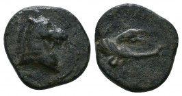 PONTOS. Uncertain. Ae (Circa 130-100 BC).

Weight: 1.9 gr
Diameter: 12 mm