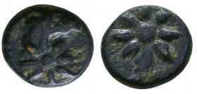 PONTOS. Uncertain. Ae (Circa 130-100 BC).

Weight: 1.9 gr
Diameter: 10 mm