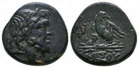 PONTOS. Amisos. Ae (Circa 120-63 BC).

Weight: 7.6 gr
Diameter: 19 mm