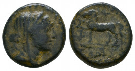 CILICIA. Adana. 164-27 BC. AE

Weight: 4.7 gr
Diameter: 17 mm