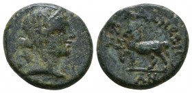 CILICIA. Adana. 164-27 BC. AE

Weight: 4.2 gr
Diameter: 16 mm