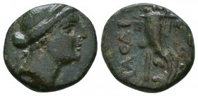 CILICIA. Soloi. Ae (Circa 1st century BC). 

Weight: 4.1 gr
Diameter: 17 mm