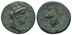 CILICIA. Aigeai. Ae (Circa 104-47 BC).

Weight: 5.3 gr
Diameter: 19 mm