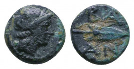Seleukid Kingdom. 2nd - 1st Century. B.C..

Weight: 0.7 gr
Diameter: 8 mm
