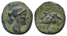 Seleukid Kingdom. 2nd - 1st Century. B.C..

Weight: 2.9 gr
Diameter: 15 mm