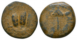 JUDAEA. Roman Procurators. (AD 59-62). Æ prutah 

Weight: 2.8 gr
Diameter: 17 mm