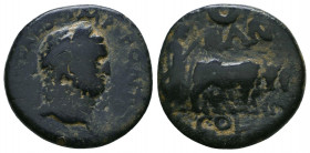 PISIDIA. Antioch. Titus (Caesar, 69-79). Ae.
Obv: T CAES IMP PONT.
Laureate head right.
Rev: ANT / COL.
Founder plowing right, with yoke of oxen; cres...