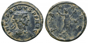 Probus AD 276-282. Ae. Antoninianus

Weight: 3.5 gr
Diameter: 20 mm