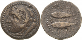 Hispania Agadir
 Semis 100/20 v. Chr Kopf des Herakles mit Löwenhaube nach links / zwei Fische, punische Umschrift: mp'ntgrr ABH 1345 1.88 g. Fast se...